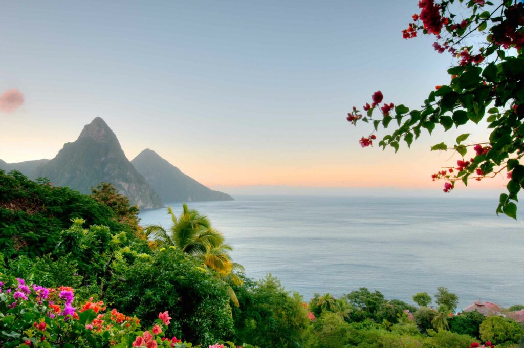St. Lucia, jungle in the foreground with ocean and mountains beyond