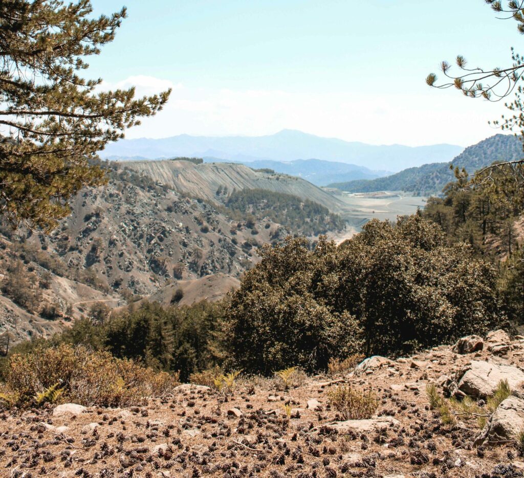 The forested hills of Troodos